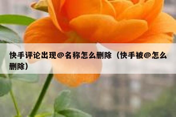 快手评论出现@名称怎么删除（快手被@怎么删除） 第1张