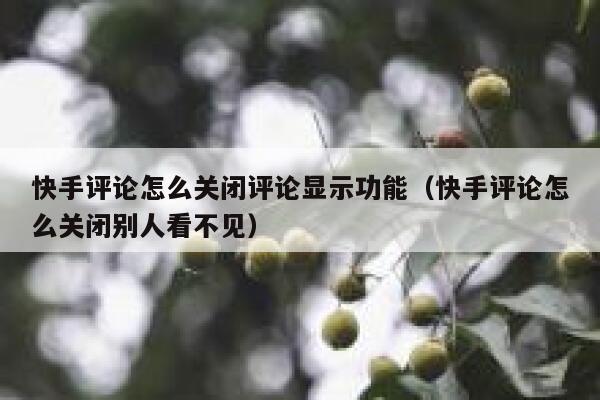 快手评论怎么关闭评论显示功能（快手评论怎么关闭别人看不见） 第1张