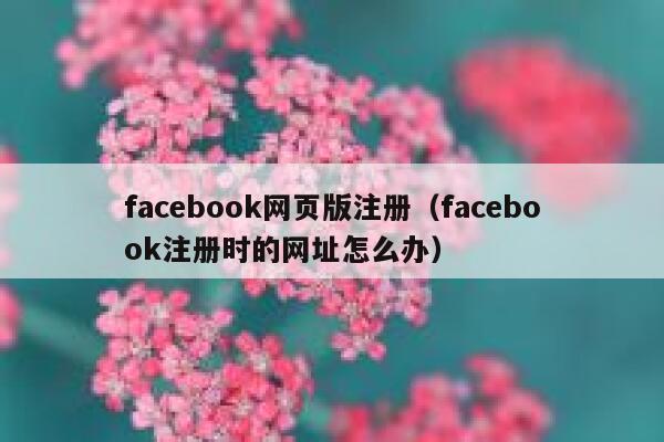 facebook网页版注册（facebook注册时的网址怎么办） 第1张