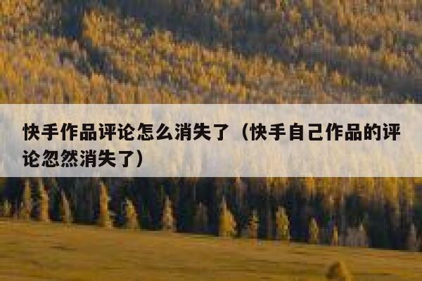 快手作品评论怎么消失了（快手自己作品的评论忽然消失了） 第1张