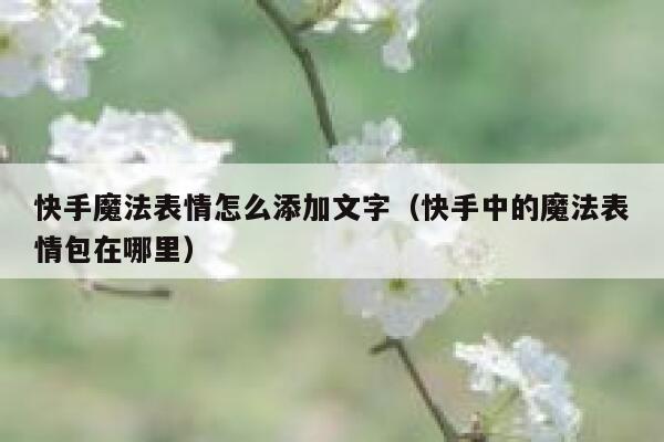 快手魔法表情怎么添加文字（快手中的魔法表情包在哪里） 第1张