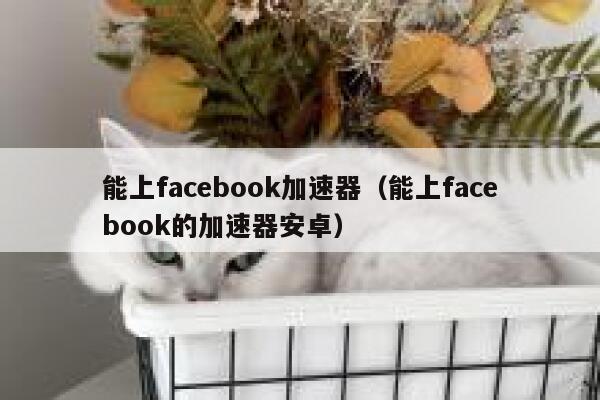 能上facebook加速器（能上facebook的加速器安卓） 第1张