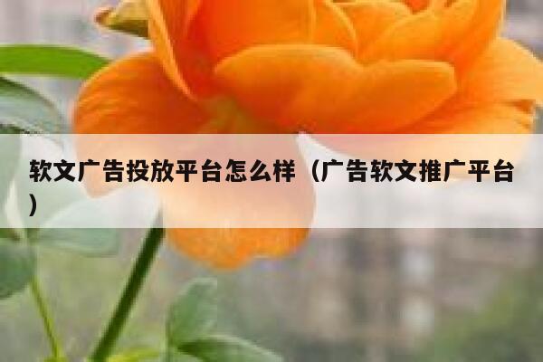 软文广告投放平台怎么样（广告软文推广平台） 第1张