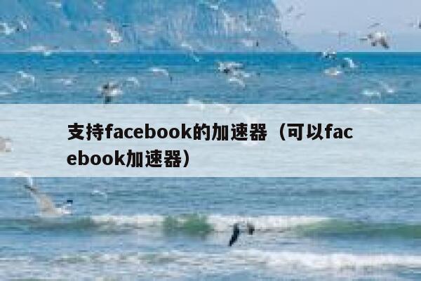 支持facebook的加速器（可以facebook加速器） 第1张