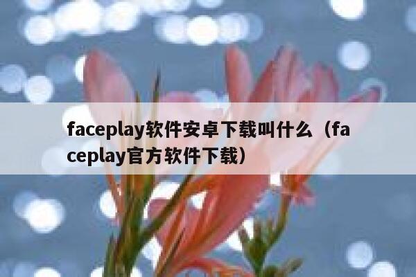 faceplay软件安卓下载叫什么（faceplay官方软件下载） 第1张