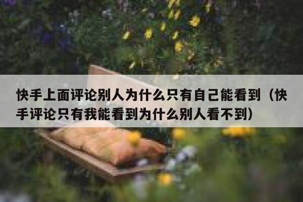 快手上面评论别人为什么只有自己能看到（快手评论只有我能看到为什么别人看不到） 第1张
