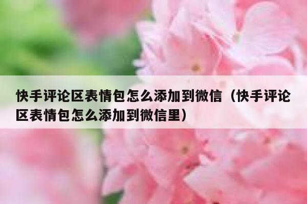 快手评论区表情包怎么添加到微信（快手评论区表情包怎么添加到微信里） 第1张