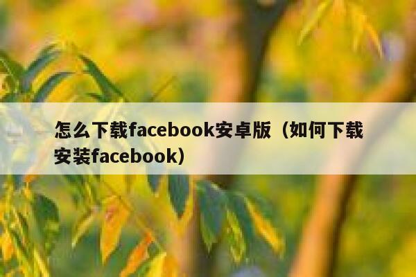 怎么下载facebook安卓版（如何下载安装facebook） 第1张