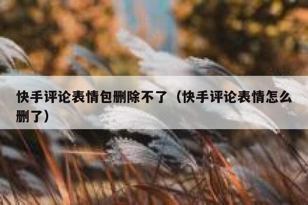 快手评论表情包删除不了（快手评论表情怎么删了） 第1张