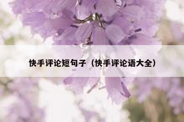 快手评论短句子（快手评论语大全） 第1张