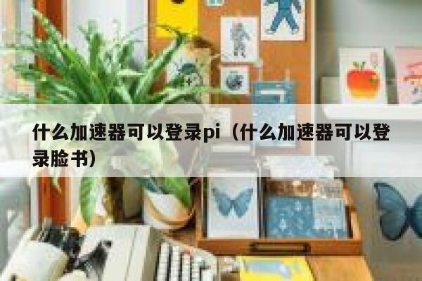 什么加速器可以登录pi（什么加速器可以登录脸书） 第1张