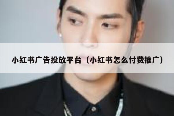 小红书广告投放平台（小红书怎么付费推广） 第1张