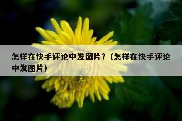 怎样在快手评论中发图片?（怎样在快手评论中发图片） 第1张