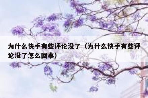 为什么快手有些评论没了（为什么快手有些评论没了怎么回事） 第1张