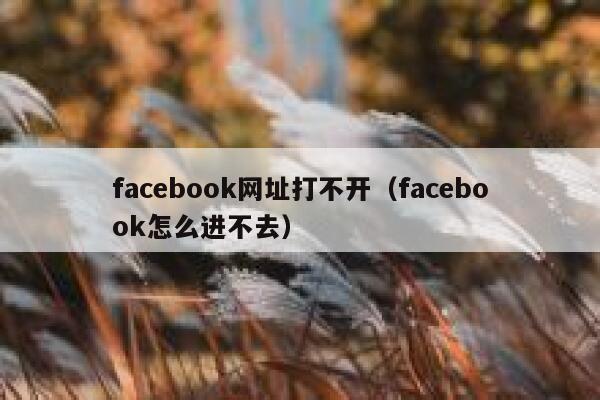 facebook网址打不开（facebook怎么进不去） 第1张