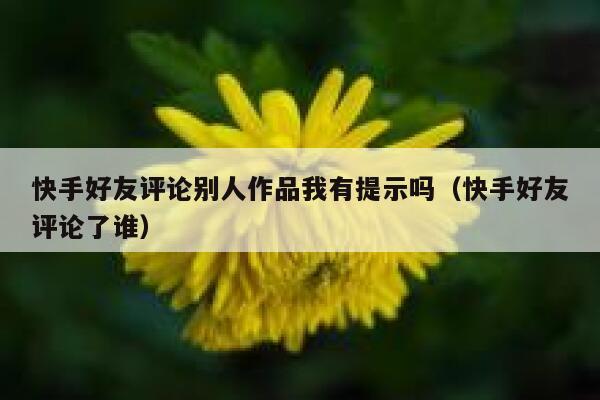 快手好友评论别人作品我有提示吗（快手好友评论了谁） 第1张