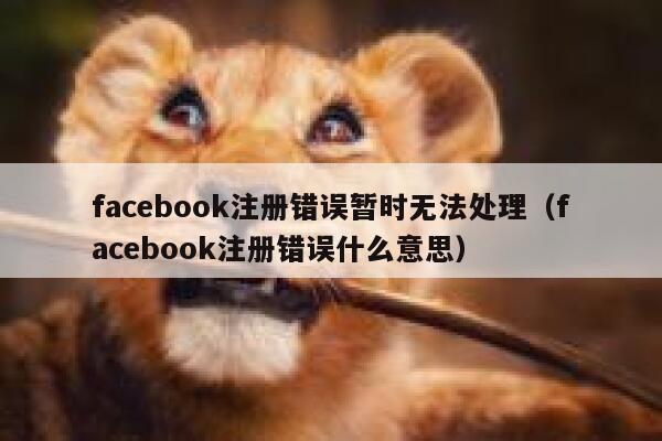 facebook注册错误暂时无法处理（facebook注册错误什么意思） 第1张