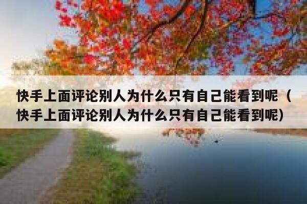 快手上面评论别人为什么只有自己能看到呢（快手上面评论别人为什么只有自己能看到呢） 第1张
