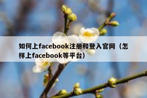 如何上facebook注册和登入官网（怎样上facebook等平台） 第1张