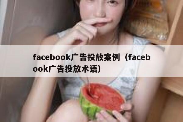 facebook广告投放案例（facebook广告投放术语） 第1张