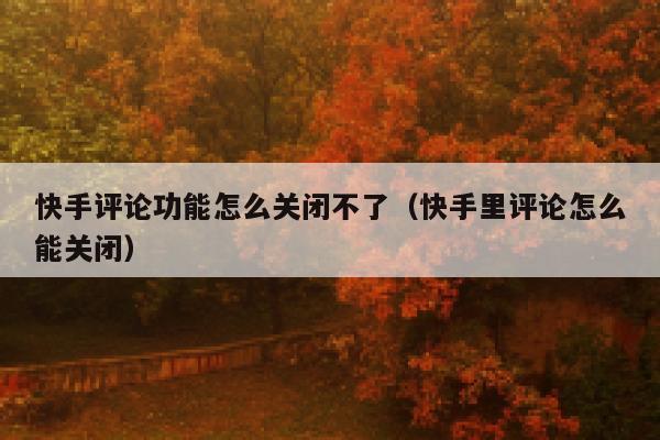 快手评论功能怎么关闭不了（快手里评论怎么能关闭） 第1张