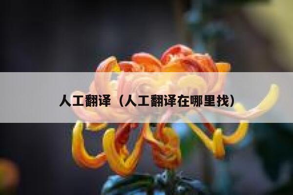 人工翻译（人工翻译在哪里找） 第1张