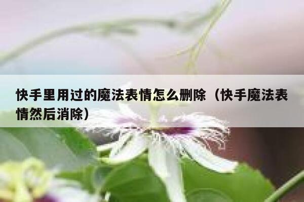 快手里用过的魔法表情怎么删除（快手魔法表情然后消除） 第1张