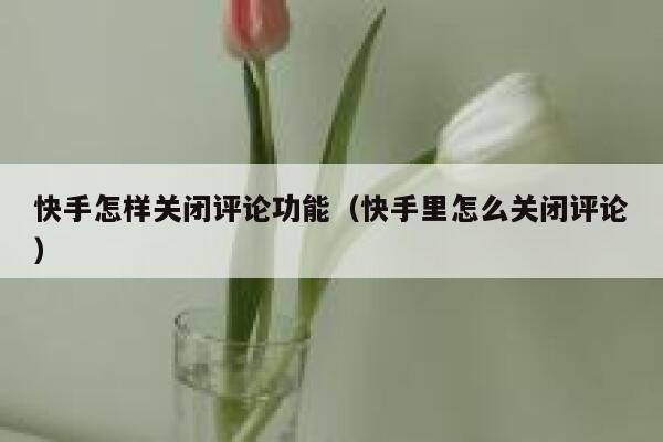 快手怎样关闭评论功能（快手里怎么关闭评论） 第1张