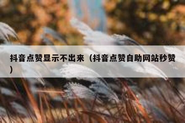 抖音点赞显示不出来（抖音点赞自助网站秒赞） 第1张
