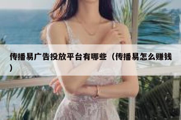 传播易广告投放平台有哪些（传播易怎么赚钱） 第1张