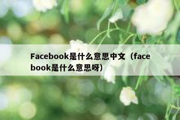 Facebook是什么意思中文（facebook是什么意思呀） 第1张