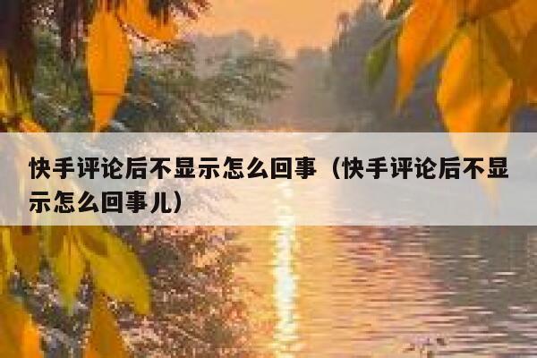 快手评论后不显示怎么回事（快手评论后不显示怎么回事儿） 第1张