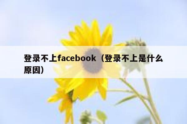 登录不上facebook（登录不上是什么原因） 第1张