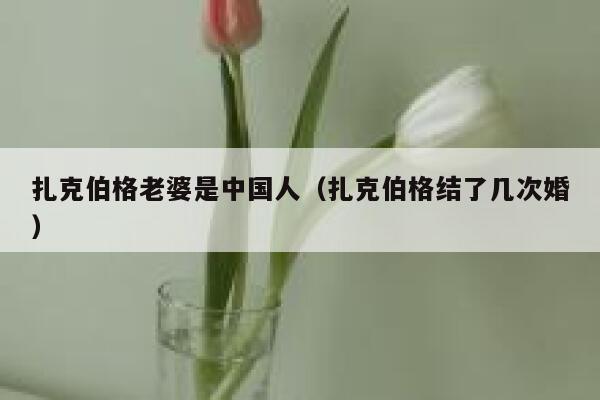 扎克伯格老婆是中国人（扎克伯格结了几次婚） 第1张