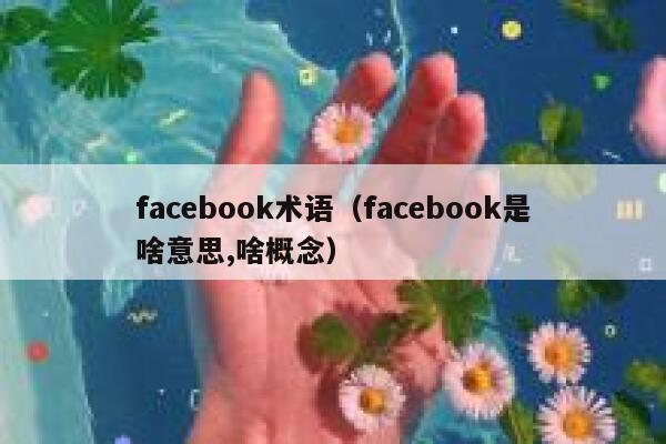 facebook术语（facebook是啥意思,啥概念） 第1张
