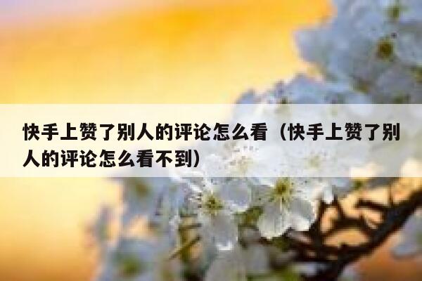 快手上赞了别人的评论怎么看（快手上赞了别人的评论怎么看不到） 第1张