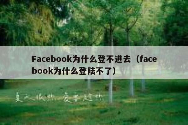 Facebook为什么登不进去（facebook为什么登陆不了） 第1张