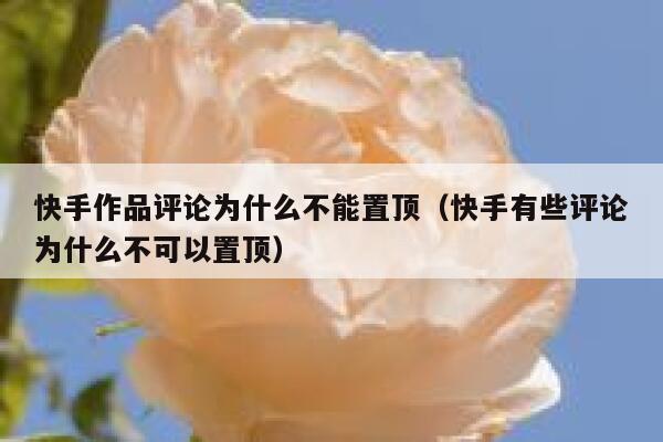 快手作品评论为什么不能置顶（快手有些评论为什么不可以置顶） 第1张