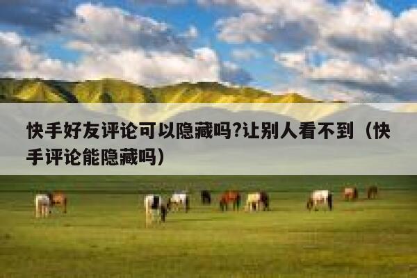 快手好友评论可以隐藏吗?让别人看不到（快手评论能隐藏吗） 第1张