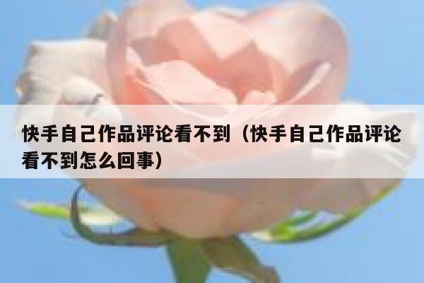 快手自己作品评论看不到（快手自己作品评论看不到怎么回事） 第1张