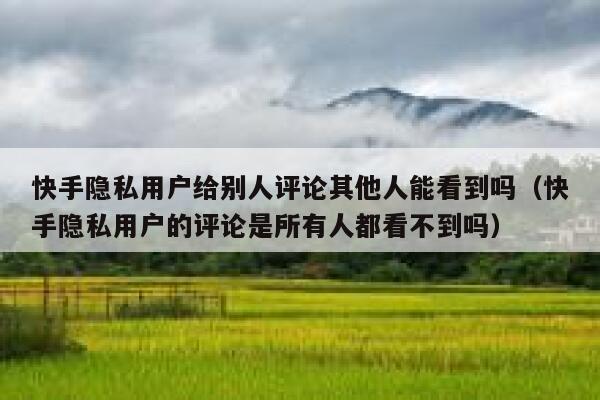 快手隐私用户给别人评论其他人能看到吗（快手隐私用户的评论是所有人都看不到吗） 第1张