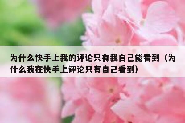 为什么快手上我的评论只有我自己能看到（为什么我在快手上评论只有自己看到） 第1张