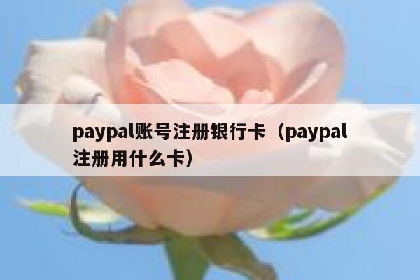 paypal账号注册银行卡（paypal注册用什么卡） 第1张