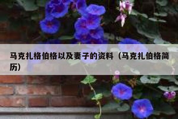 马克扎格伯格以及妻子的资料（马克扎伯格简历） 第1张