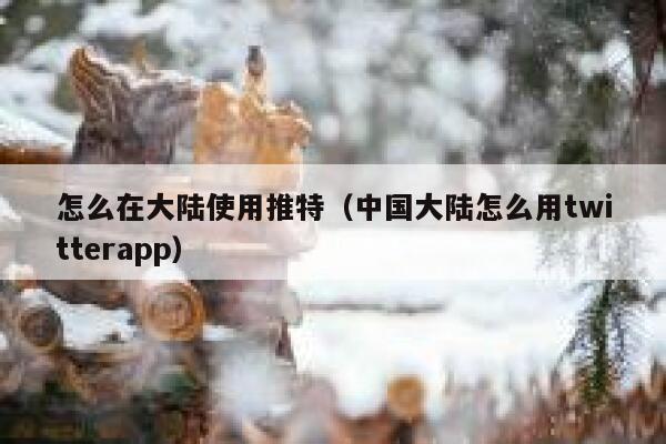 怎么在大陆使用推特（中国大陆怎么用twitterapp） 第1张