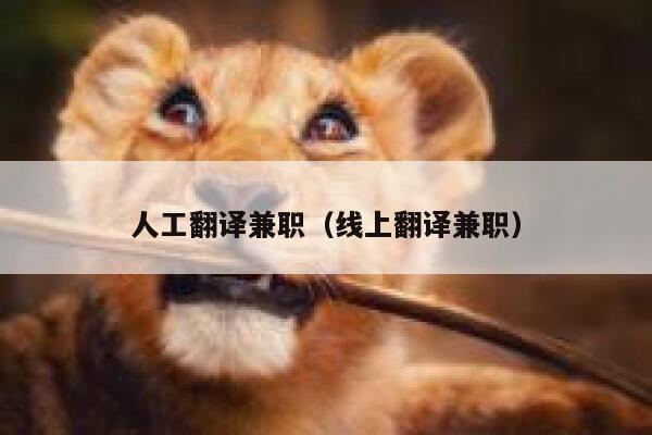 人工翻译兼职（线上翻译兼职） 第1张