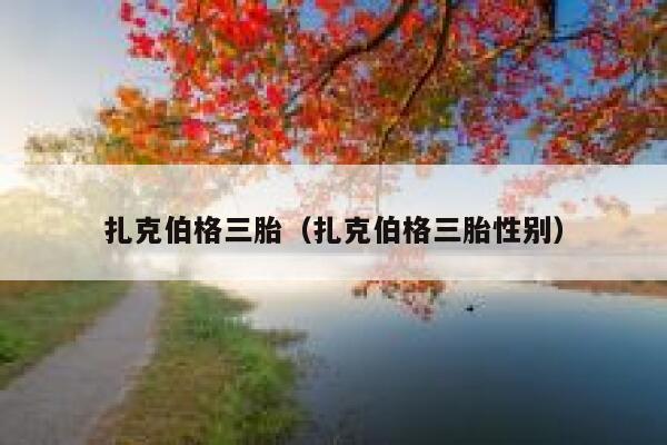 扎克伯格三胎（扎克伯格三胎性别） 第1张
