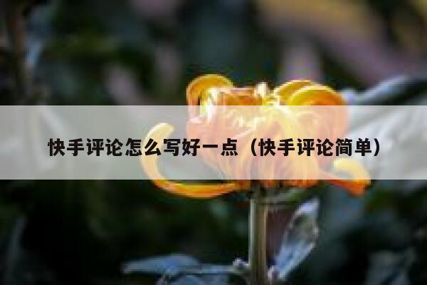 快手评论怎么写好一点（快手评论简单） 第1张