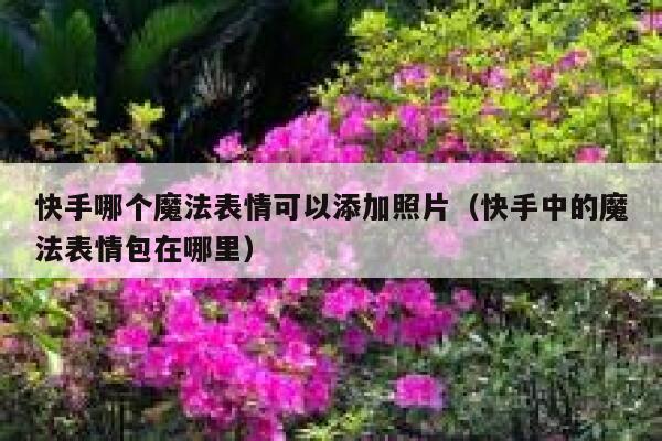快手哪个魔法表情可以添加照片（快手中的魔法表情包在哪里） 第1张