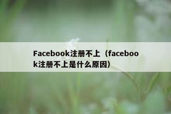 Facebook注册不上（facebook注册不上是什么原因） 第1张